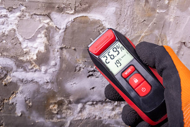 Best Residential Mold Removal  in Oneonta, AL